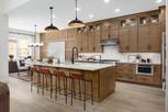 Montrose at Innisbrook - Torrance Collection - Palm Harbor, FL