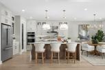 Regency at Waterset - Wren Collection - Apollo Beach, FL