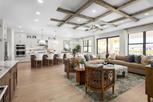 Regency at Waterset - Wren Collection - Apollo Beach, FL