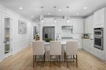 Regency at Waterset - Vine Collection - Apollo Beach, FL