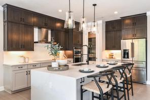 18428 Dayspring Pl (Flora)
