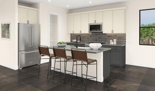 Stilt - Regency at Waterset - Vine Collection: Apollo Beach, Florida - Toll Brothers