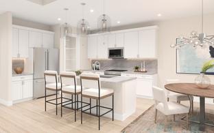 Herring - Regency at Waterset - Vine Collection: Apollo Beach, Florida - Toll Brothers