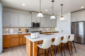 9599 W Gladiola Ct (Brennan Cascade)
