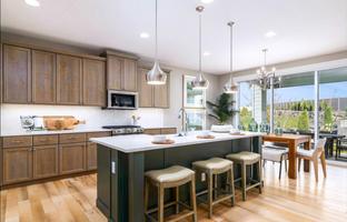 Fraiser Contemporary Craftsman - Cresta Del Sol - Woodland: Star, Idaho - Toll Brothers