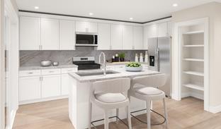 Frasera - Maxwell Ridge: Las Vegas, Nevada - Storybook Homes