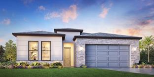 Sandbar - Regency at Waterset - Vine Collection: Apollo Beach, Florida - Toll Brothers