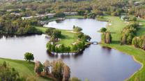 Montrose at Innisbrook - Townes Collection por Toll Brothers en Tampa-St. Petersburg Florida