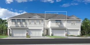 Seagate - Montrose at Innisbrook - Townes Collection: Palm Harbor, Florida - Toll Brothers