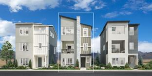 Ridgway - Toll Brothers at Gold Hill - Apex Collection: Colorado Springs, Colorado - Toll Brothers