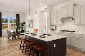 33239 Douglas Ave (Solaris)