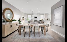 Toll Brothers at South Main: Milpitas, California - Toll Brothers