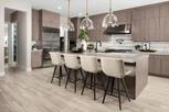 Home in Regency at Tracy Lakes - Echo Collection by Toll Brothers