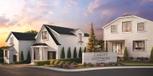 Home in Canopy Cottages by Toll Brothers