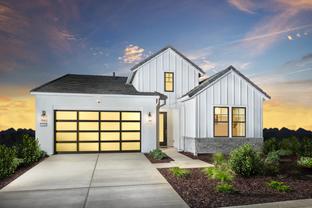 Martis - Regency at Tracy Lakes - Laguna Collection: Tracy, California - Toll Brothers