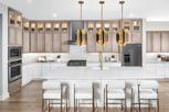 Home in Travisso - Naples Collection by Toll Brothers