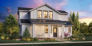 Marigold - Canopy Cottages: Redmond, Washington - Toll Brothers