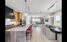 Lakeside at Tessera - Bluewood Collection: Lago Vista, Texas - Toll Brothers