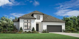 Alford - Travisso - Siena Collection: Leander, Texas - Toll Brothers