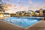 Regency at Santa Rita Ranch - Orchard Collection - Liberty Hill, TX