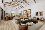 Regency at Santa Rita Ranch - Orchard Collection - Liberty Hill, TX