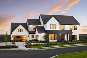 Travisso - Verona Collection - Leander, TX