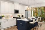 Canopy Cottages - Redmond, WA
