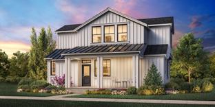 Marigold - Canopy Cottages: Redmond, Washington - Toll Brothers