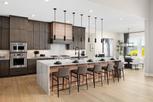 Toll Brothers at Woodland Estates - Leander, TX