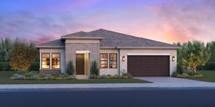 Alpine - Regency at Tracy Lakes - Echo Collection: Tracy, California - Toll Brothers