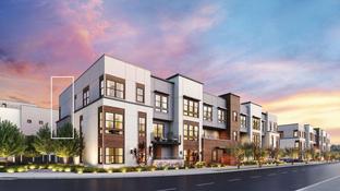 Rey - 3131 Camino: Santa Clara, California - Toll Brothers