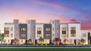 Zara - 3131 Camino: Santa Clara, California - Toll Brothers