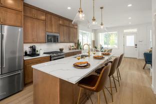 Daisy - Canopy Cottages: Redmond, Washington - Toll Brothers