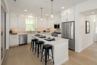 Marigold - Canopy Cottages: Redmond, Washington - Toll Brothers