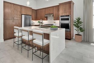 Samantha - Regency at Avenir - Palms Collection: Palm Beach Gardens, Florida - Toll Brothers