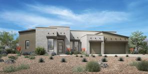 Desert Willow