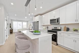 Edmond - Commonwealth Place at Westfields - The Belle Haven Collectio: Chantilly, District Of Columbia - Toll Brothers