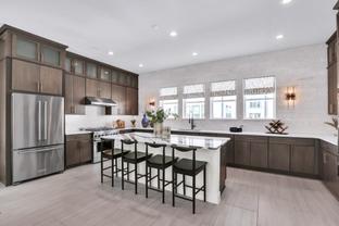 Nova Elite Modern II - The Brix at The Packing District: Orlando, Florida - Toll Brothers