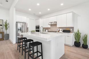 Pinellas - Seven Shores - Harbor Collection: Naples, Florida - Toll Brothers