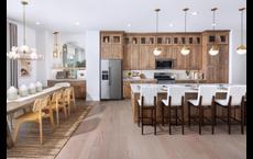 Alora: Orlando, Florida - Toll Brothers