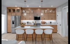 Geddes Vista - Towns Collection: Ann Arbor, Michigan - Toll Brothers