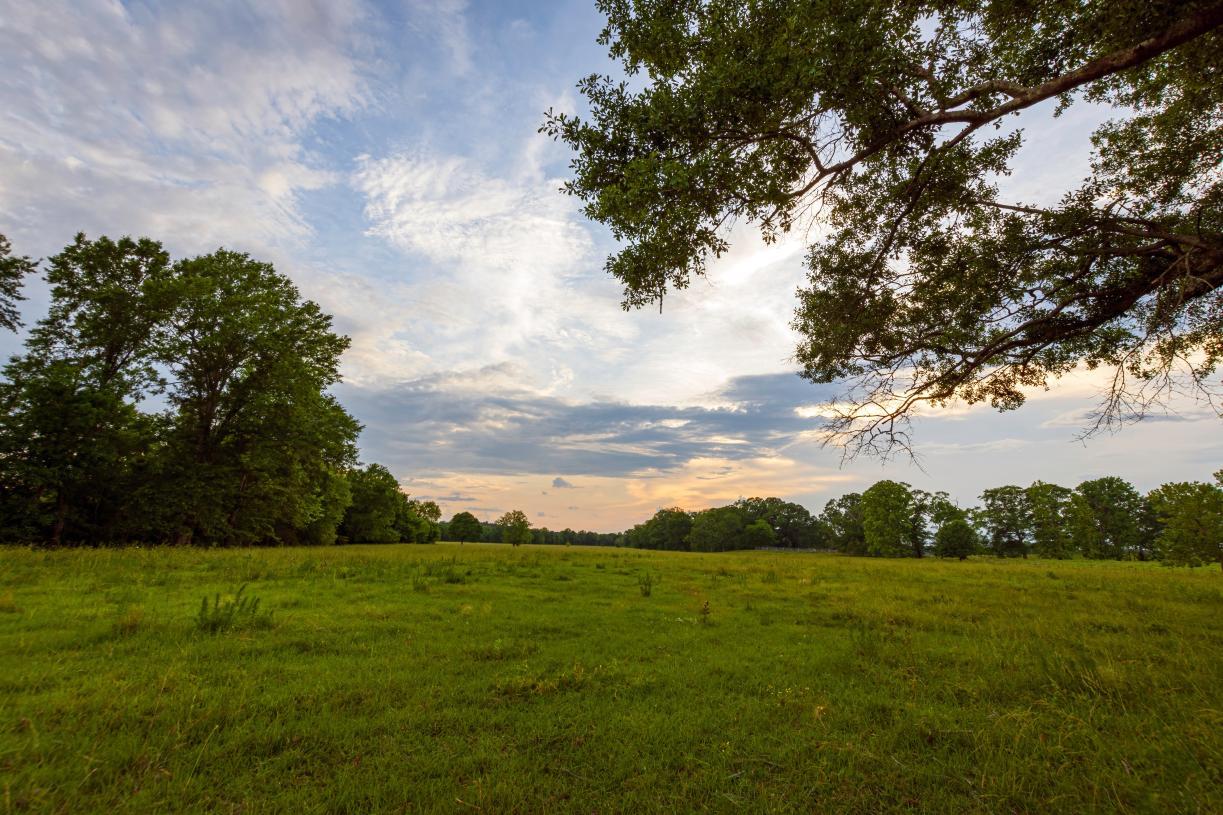 Peapack Crossing - Signature Collection por Toll Brothers en Somerset County New Jersey