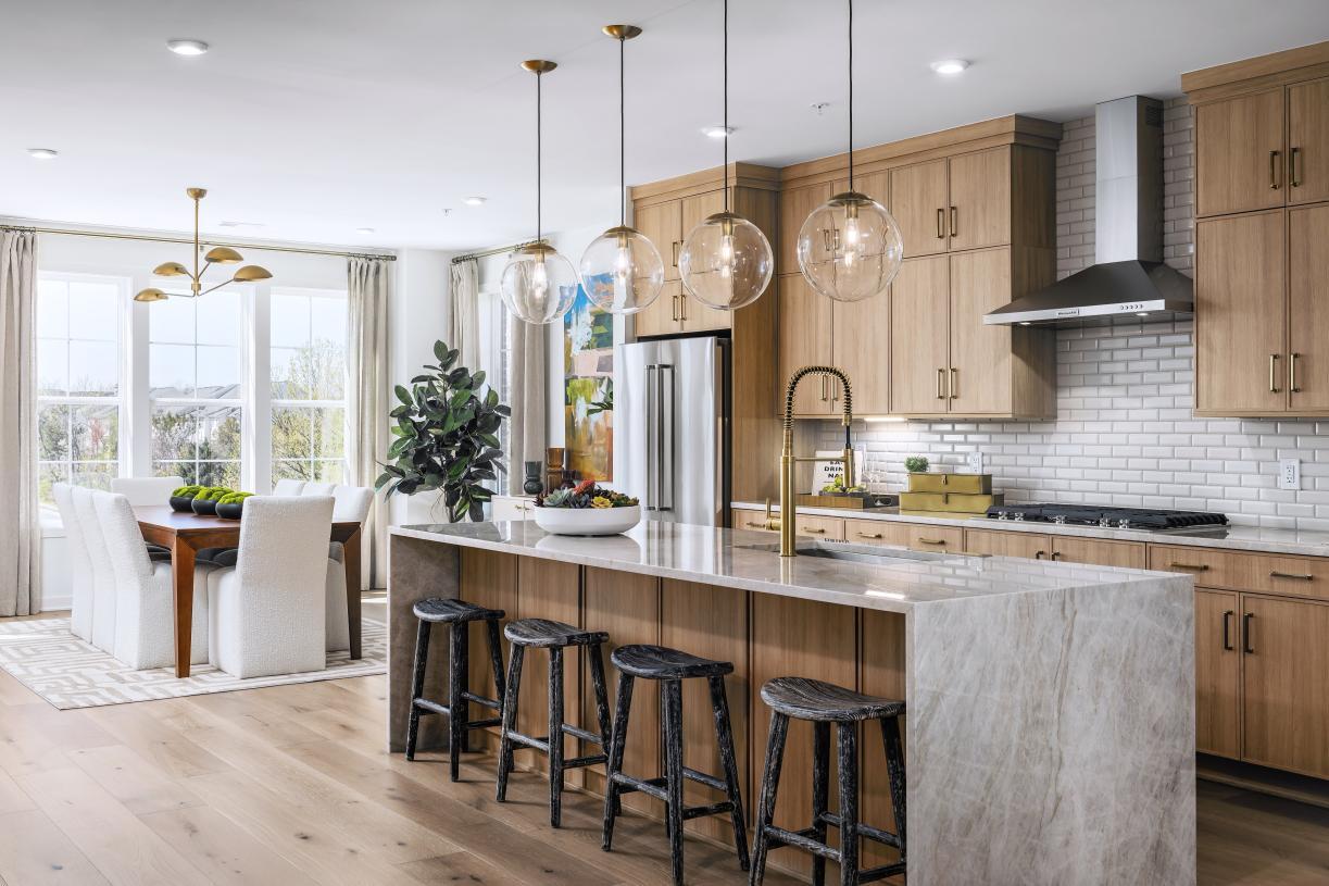 Luxury gourmet kitchen