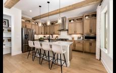 Regency at Sienna - Orchard Collection: Missouri City, Texas - Toll Brothers