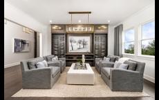 Regency at Sienna - Redbud Collection: Missouri City, Texas - Toll Brothers