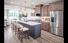 Birch Run at New Britain: Chalfont, Pennsylvania - Toll Brothers