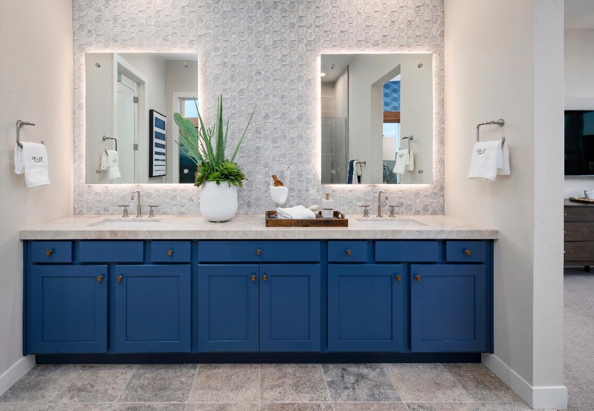Primary bathroom with dual-sink vanity and beautiful backsplash