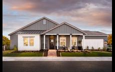 Sterling Grove - Providence Collection: Surprise, Arizona - Toll Brothers