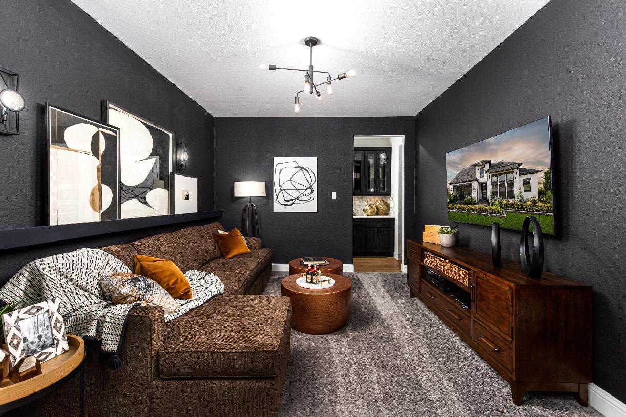 Celeste media room