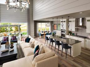 Montaine - Point Collection by Toll Brothers in Denver Colorado